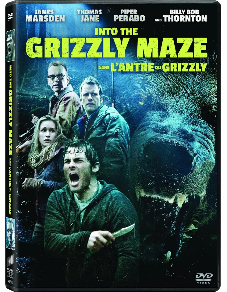 Into The Grizzly Maze (DVD) - Image 1 of 1