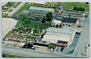 Chicago Ridge Illinois~Saunoris & Sons Garden Center & Florist~Greenhouses 1950s - Picture 1 of 2