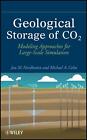 Geological Storage of CO2: Modeling Approaches for Large-Scale Simulation by Mic
