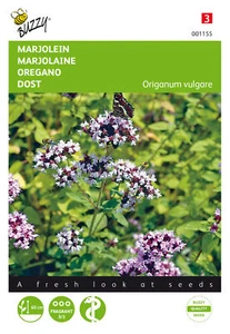 Buzzy Seeds 001155 Oregano Dost (Oreganosamen) - Bild 1 von 1
