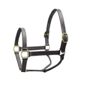 Derby Originals Triple Costura Doble Capa Cuero Ajustable Caballo Halter - Imagen 1 de 11