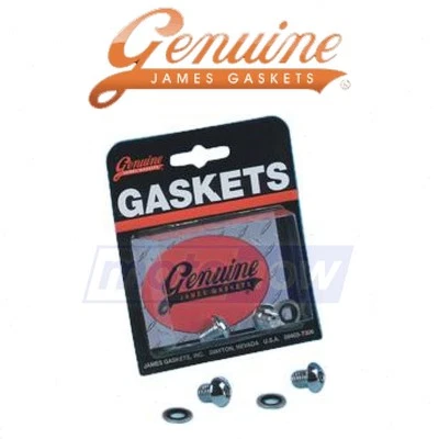 James Gasket Fork Drain Screw Kit for 2011-2013 Harley Davidson FLTRU Road fe - Image 1 of 4