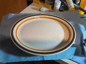 Buffalo China Fall Harvest Colors Restaurant Ware Oval Plate Howard Johnson HTF - Picture 1 of 5