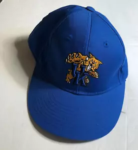 University of Kentucky Wildcats Blue w Gold cat Logo Strap Back Hat Cap - Picture 1 of 7