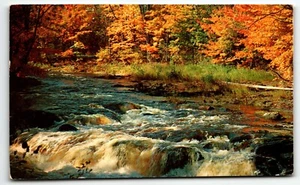 Saludos desde Delphos Ohio Dairy Whip restaurante anuncio postal OH PM 1957 - Imagen 1 de 2