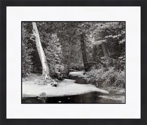 Ansel Adams Yosemite Creek Abend Herbst Yosemite Park individuell gerahmter Druck - Bild 1 von 1