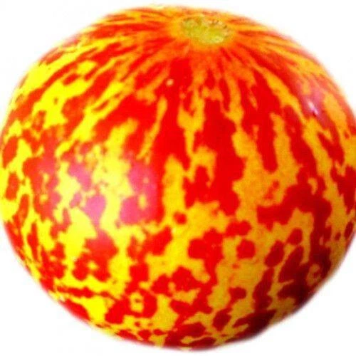 Melon Tigre 10 semillas seeds , curioso sabor y pequeño tamaño