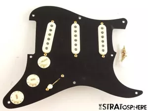 Fender Custom Shop American Custom Stratocaster NOS PICKGUARD CARICATO Strat "GR". - Foto 1 di 2