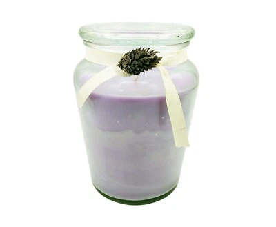 Tarro de vidrio para velas lavanda tapa perfumada cinta acento piña 18 oz púrpura Foto 1 de 4