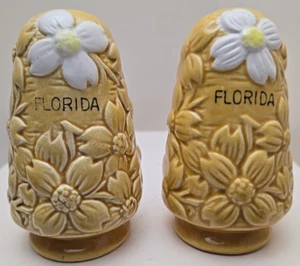 Vintage Mid Century Fred Robert Daisy Flower Florida Souvenir S P Shakers c1950s - Picture 1 of 6