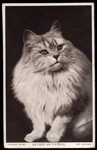 Keymer Sir Patrick Cat Bas Relief Greeting Card Embossed Postcard - Picture 1 of 2