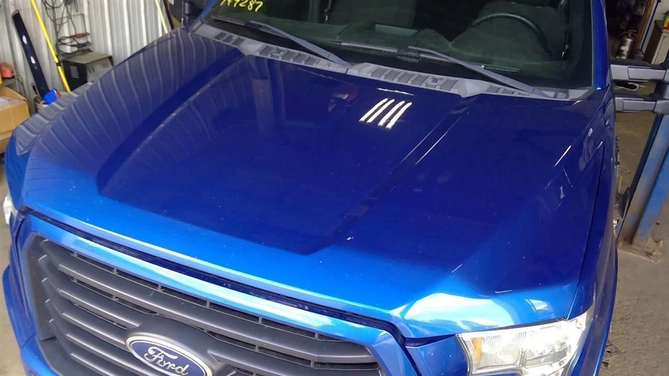 Blue Hood Fits 15-20 FORD F150 PICKUP 10313215 - Image 1 of 4