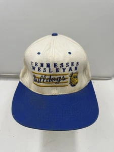 Vintage Tennessee Wesleyan Bulldogs 90s Snapback Hat Cap KC Sidelines - Picture 1 of 12