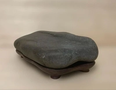Piedra japonesa SUISEKI 7,4 pulgadas de observación natural roca lago Biwa Setagawa Foto 1 de 4