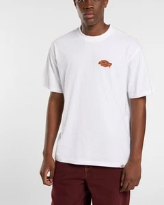 Camiseta Casual HOMBRE Dickies Blanco GRAYSVILLE TEE SS Algodón - Imagen 1 de 9