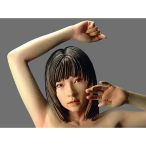 Kit Modelo Resina 1/6 Desnudos Asiáticos Hermosa Niña Mujer Sin Pintar - Imagen 1 de 3