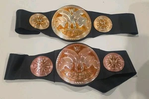 2 WWE Tag Team Champions Replica Kids Belts - Picture 1 of 8
