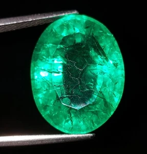 Loose Gemstone Natural Colombian Green Emerald 19.62 Ct Certified Oval Shape Gem - Picture 1 of 10
