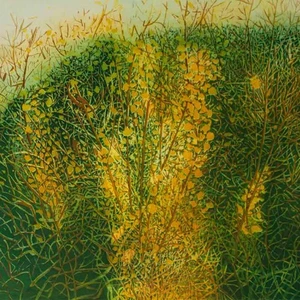 Helga Wirth Rapsfeld Poel Zeitgenössische Kunst sign Farbradierung 2001 21/40 - Bild 1 von 4