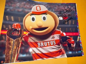 Brutus Buckeye Ohio State Maskottchen signed 8x10 Foto - Bild 1 von 1