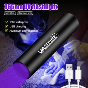 UV LED Flashlight Ultra Violet BlackLight Mini Torch 365nm Inspection USB Light - Picture 1 of 8