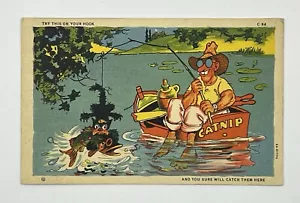 1940s Comic Fisherman Takes HIs Cat Fishing Linen Postcard - Picture 1 of 2