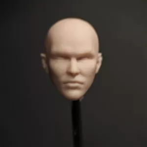 HL2084 1/12 unbemalt Nicholas Hoult männlicher Kopf Schnitzerei Modell Spielzeug - Bild 1 von 5
