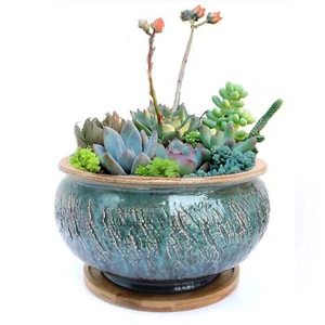 Ceramic Plant Pot with Drainage Hole and Tray Succulent Holder Bonsai Flower ... - Picture 1 of 7