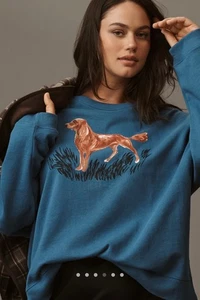Neu mit Etikett Anthropologie Maeve HUNDEPULLOVER/SWEATSHIRT OVERSIZED LARGE - Bild 1 von 10