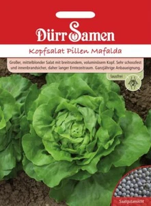 Kopfsalat Samen Pillen Mafalda Salatsamen Salat Schossfest Großer Salat Lausfrei - Bild 1 von 1