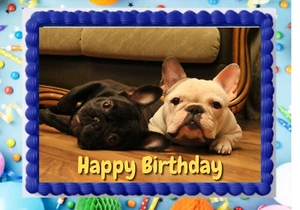 Bulldog Francés Cachorro Frenchie Imagen de Cumpleaños Comestible Decoración de Pasteles Hoja de Esmerilado - Imagen 1 de 5