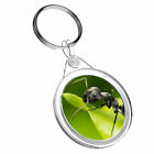 1 x Awesome Black Ant Insect - Keyring IR02 Mum Dad Birthday Cool Gift #8891