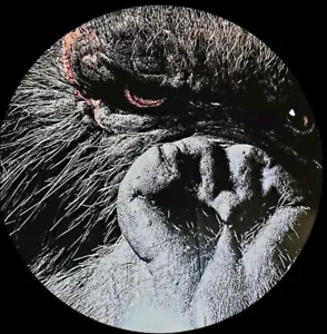 KING KONG SKULL ISLAND MEGA POSTER 3,6×2,4 METER!!WETTERFEST ABSULUTE RARITÄT - Bild 1 von 5