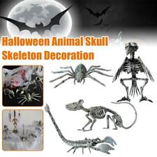 Halloween Animals Bat Skeleton Bones Simulation Horror Prop Creepy Decor' P N2Z5