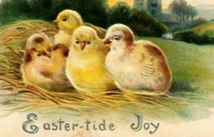 Easter-tide Joy Chicks EMBOSSED Gottschalk, Dreyfuss & Davis 1910 Postcard BB2 - Imagen 1 de 3