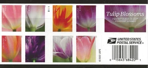 US Scott #5777-86, Plate #B1111 Booklet Pane 2023 Tulip Blossoms VF MNH - Picture 1 of 1
