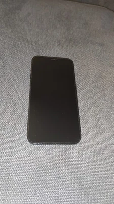 iPhone 12 Pro Max 256GB Pazifikblau Ohne Simlock - Bild 1 von 4