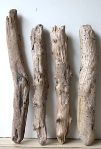 Treibholz Schwemmholz Driftwood 4 XL  Hölzer Terrarium Dekoration 51-57 cm *E23* - Bild 1 von 13