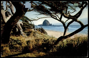 Vintage Postkarte Pazifikküste entlang des Highway 101 - Oregon UNP - Bild 1 von 2