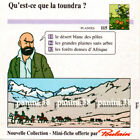 RARE !! Mini-fiche n°115 "TINTIN - OBJECTIF DECOUVERTE" Poulain 1992