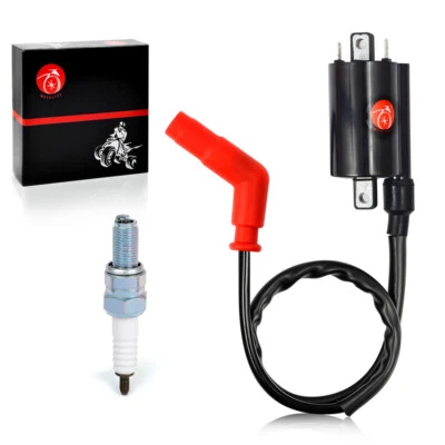 Bobina de encendido y bujía para Yamaha Raptor 700 Raptor 700R YFM700R 2006-2018 Foto 1 de 4