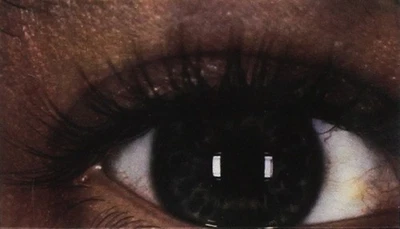 Pearl Jam No Code (Cassette) - Image 1 of 2