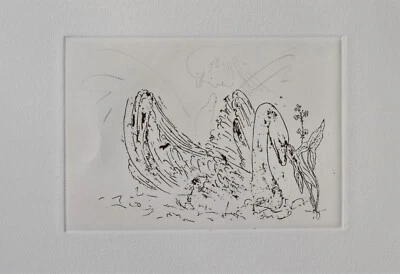 Jonas Hafner Grafik Sagittaria Radierung - Bild 1 von 4