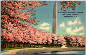 Washington Monument View Cherry Trees Washington DC 1941 VTG Linen Postcard B37 - Picture 1 of 2