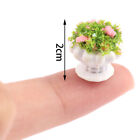 1:12 Dollhouse Mini Furniture Accessories Mini Green Plant Bonsai Flower P Le