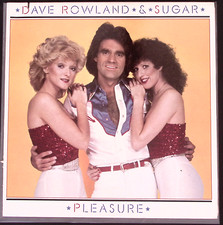 DAVE ROWLAND & SUGAR PLEASURE ELEKTRA RECORDS  LP 138-15W