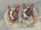 FRENCH BULLDOG TWO DOGS HEAD STUDY LOVELY DOG GREETINGS NOTE CARD