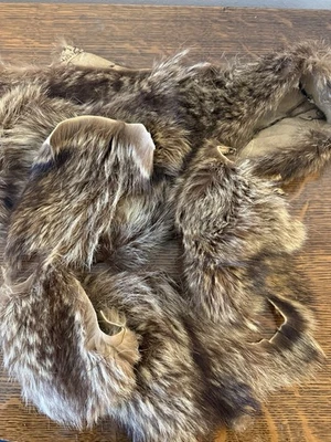 Restos de piel de mapache para manualidades  Foto 1 de 3