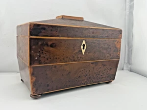 Antike Teedose gemaserte Ulme 1830er Intarsien Grabstein Birdseye George Regency - Bild 1 von 22