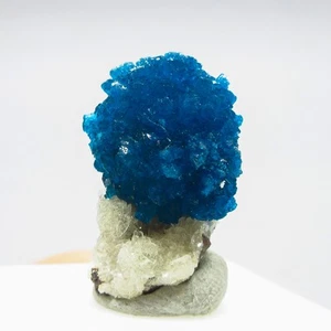 Cavansite on matrix  (non precious natural stone) # 4241 - Picture 1 of 4